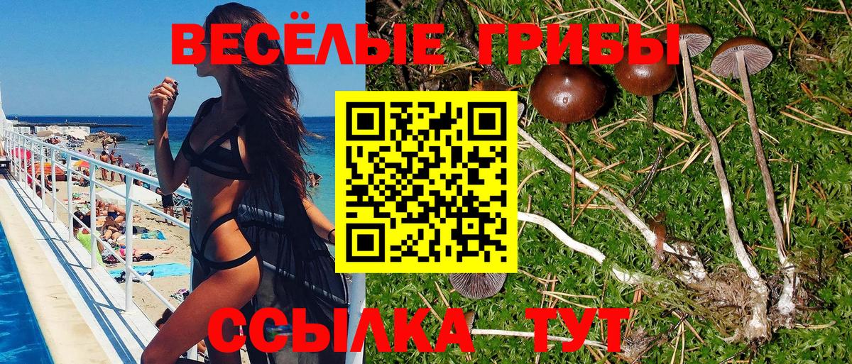 Рыбинск  Псилоцибиновые грибы ЛСД  Вход с VPN  Псилоцибиновые грибы Magic Shrooms 