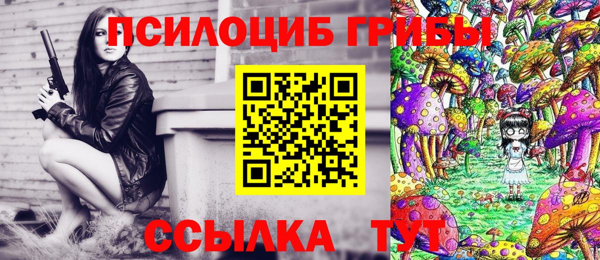 Псилоцибиновые грибы Cubensis Рыбинск